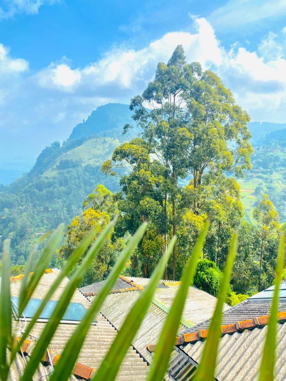 Pleasant Peak Bed & Breakfast Ella Luaran gambar