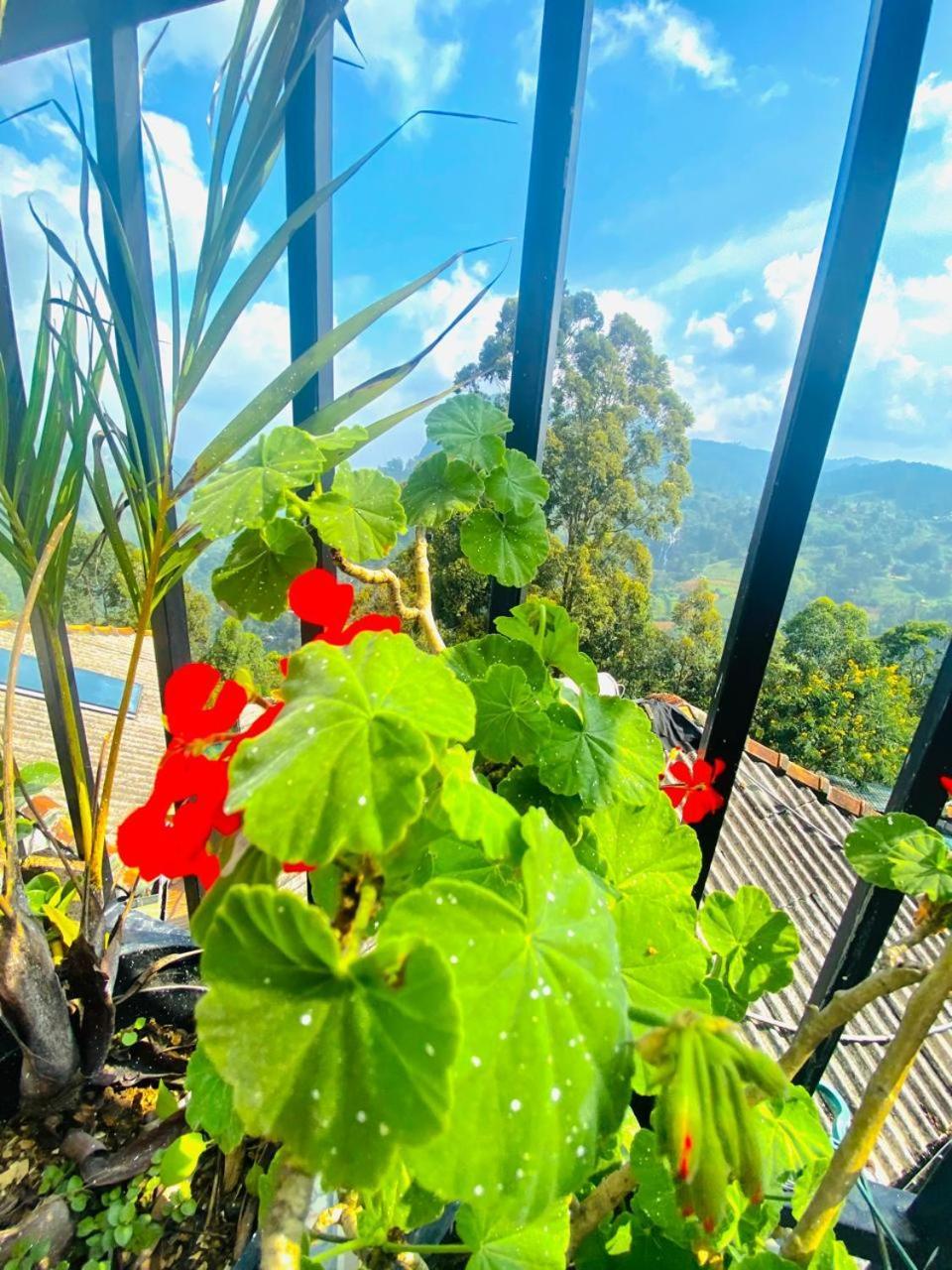 Pleasant Peak Bed & Breakfast Ella Luaran gambar